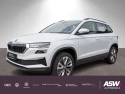 Moonweiss metallic Gebraucht 2023 Skoda Karoq Style SUV | 33.890 € (Fairer Preis)