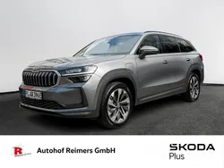 Grau Gebraucht 2024 Skoda Kodiaq Selection SUV | 44.490 € (Guter Preis)