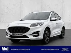 Weiss Neu 2024 Ford Kuga ST-Line SUV | 34.980 € (Guter Preis)