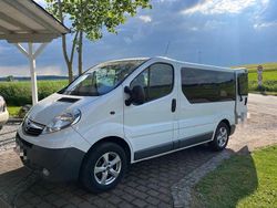 Weiß Gebraucht 2014 Opel Vivaro Van / Kleinbus | 10.450 € (Fairer Preis)
