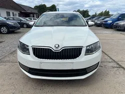 Weiß Gebraucht 2013 Skoda Octavia Elegance Kombi | 4.900 € (Guter Preis)