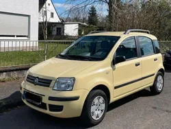 Gelb Gebraucht 2005 Fiat Panda Kleinwagen | 1.649 € (Fairer Preis)