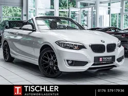 Weiß Gebraucht 2015 BMW 218 Advantage Cabrio | 16.480 € (Etwas zu teuer)