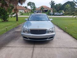 Blau Gebraucht 2004 Mercedes S430 Limousine | 5.150 € (Guter Preis)
