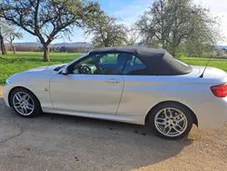 Weiß Gebraucht 2018 BMW 220 Advantage Cabrio | 22.499 € (Etwas zu teuer)