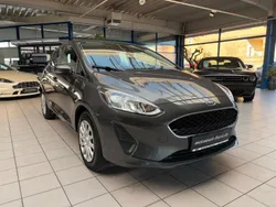 Grau Gebraucht 2020 Ford Fiesta Trend Kleinwagen | 11.950 € (Fairer Preis)