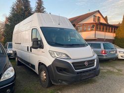Weiß Gebraucht 2019 Fiat Ducato Van | 16.000 € (Fairer Preis)