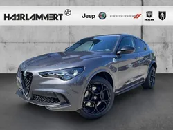 Grau Neu 2025 Alfa Romeo Stelvio Quadrifoglio SUV | 103.990 €