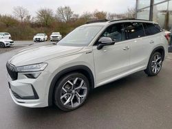 Grau Gebraucht 2024 Skoda Kodiaq SportLine SUV | 49.980 € (Fairer Preis)