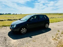 Grau Gebraucht 2004 VW Polo Kleinwagen | 1.599 € (Fairer Preis)