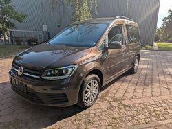 Braun Gebraucht 2016 VW Caddy Comfortline Van / Kleinbus | 14.999 € (Superpreis)