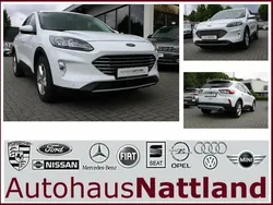Arktisweiß metallic Gebraucht 2022 Ford Kuga ST-Line X SUV | 27.890 € (Etwas zu teuer)