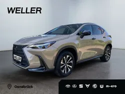 Beige Gebraucht 2024 Lexus NX350h E-FOUR SUV | 59.990 € (Fairer Preis)