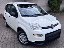 Colore esterno (weiss) Neu 2025 Fiat Panda Kleinwagen | 12.500 €