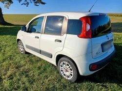 Weiß Gebraucht 2016 Fiat Panda Easy Kleinwagen | 5.900 € (Guter Preis)