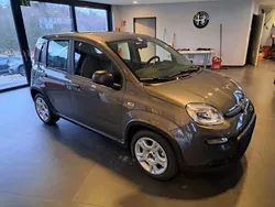 Grau Gebraucht 2024 Fiat Panda Kleinwagen | 13.280 € (Fairer Preis)