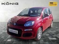 Passione rot Gebraucht 2025 Fiat Panda Kleinwagen | 12.490 € (Guter Preis)
