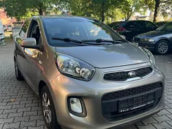 Grau Gebraucht 2016 Kia Picanto Kleinwagen | 4.500 € (Fairer Preis)