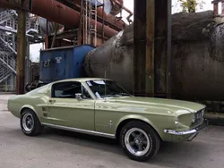 Grün Gebraucht 1967 Ford Mustang Fastback Coupé | 79.000 €