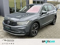 Delfingrau metallic Gebraucht 2022 VW Tiguan Active SUV | 26.980 € (Guter Preis)