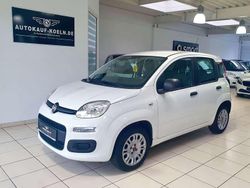 Weiß Gebraucht 2019 Fiat Panda Easy Kleinwagen | 7.590 € (Fairer Preis)