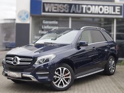 Blau Gebraucht 2018 Mercedes GLE250 SUV | 29.990 € (Etwas zu teuer)