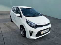 Weiß Gebraucht 2023 Kia Picanto Edition 7 Kleinwagen | 14.080 € (Fairer Preis)
