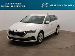Weiß Gebraucht 2023 Skoda Octavia Style Kombi | 23.360 € (Guter Preis)