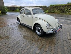 Beige Gebraucht 1961 VW Käfer Kleinwagen | 16.500 €