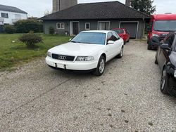 Weiß Gebraucht 1997 Audi A8 Limousine | 2.450 € (Etwas zu teuer)