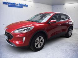 Lucid red metallic Gebraucht 2022 Ford Kuga Cool & Connect SUV | 24.980 € (Guter Preis)