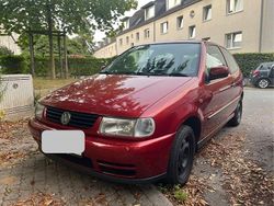 Rot Gebraucht 2000 VW Polo Kleinwagen | 1.250 € (Fairer Preis)