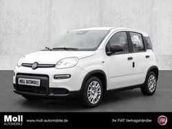 Gelato weiß Neu 2025 Fiat Panda Limousine | 13.390 € (Guter Preis)
