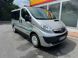 Silber Gebraucht 2007 Opel Vivaro Van | 7.500 € (Teuer)
