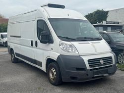 Weiß Gebraucht 2013 Fiat Ducato Van | 3.999 €