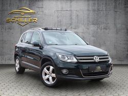 Grün Gebraucht 2014 VW Tiguan Sport SUV | 17.499 € (Fairer Preis)