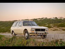 Beige Gebraucht 1989 Peugeot 504 Kombi | 16.500 €