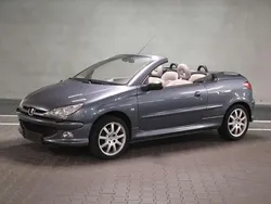 Eisengrau/metallic Gebraucht 2005 Peugeot 206 CC Platinum Cabrio | 2.222 € (Etwas zu teuer)