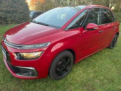 Rot Gebraucht 2016 Citroën C4 Picasso PureTech Van / Kleinbus | 9.300 € (Fairer Preis)