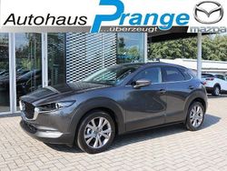Machine gray Neu 2025 Mazda CX-30 Center-Line SUV | 30.985 €