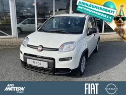 Gelato weiss Neu 2025 Fiat Panda Kleinwagen | 15.290 € (Fairer Preis)