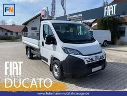 Weiß Neu 2025 Fiat Ducato Van | 32.666 € (Etwas zu teuer)