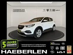 Jade weiss/arktis weiss Gebraucht 2021 Opel Grandland X Elegance SUV | 17.980 € (Guter Preis)
