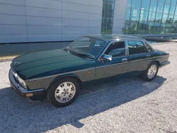 Grün Gebraucht 1991 Jaguar XJ40 Limousine | 16.900 €