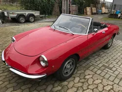 Alfa Romeo Spider