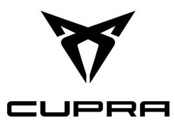 Grau Gebraucht 2021 Cupra Formentor VZ SUV | 27.490 € (Guter Preis)