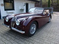 Gebraucht 1954 Jaguar XK Cabrio | 150.000 €