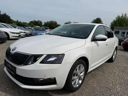 Bila candy/candyweiss Gebraucht 2018 Skoda Octavia Ambition Limousine | 8.000 € (Teuer)
