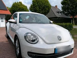 Weiß Gebraucht 2013 VW Beetle Limousine | 6.500 € (Fairer Preis)