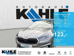 Grau Neu 2025 Skoda Fabia Kleinwagen | 22.790 € (Etwas zu teuer)